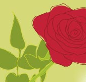 Turlot Isabelle - Fleuriste