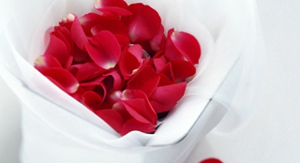 Petales De Roses.fr