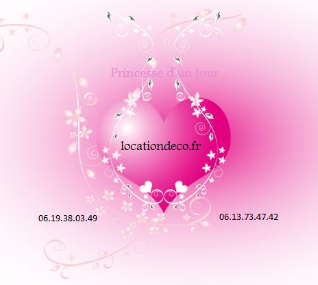 Princesse d'un Jour